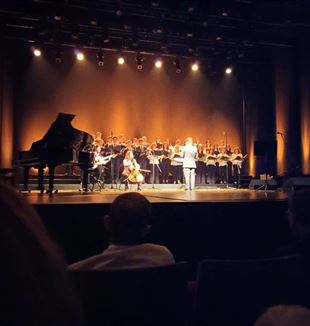 O concerto no teatro S. Luiz