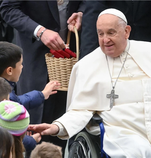 Papa Francisco durante uma audiência em janeiro (©Ansa/Alessandro Di Meo)